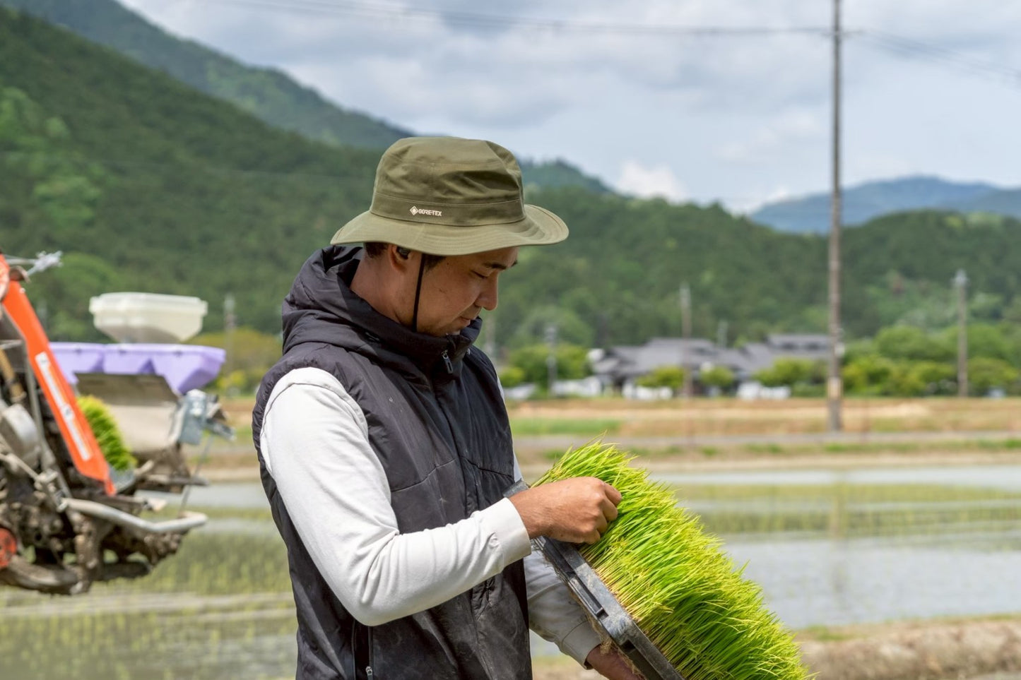定期便 10kg（白米）